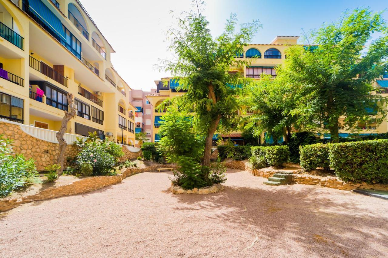 Apartamento Alegria Id36 Ла-Мата Екстер'єр фото